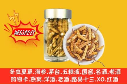 邯郸市大名名酒回收散虫草.jpg